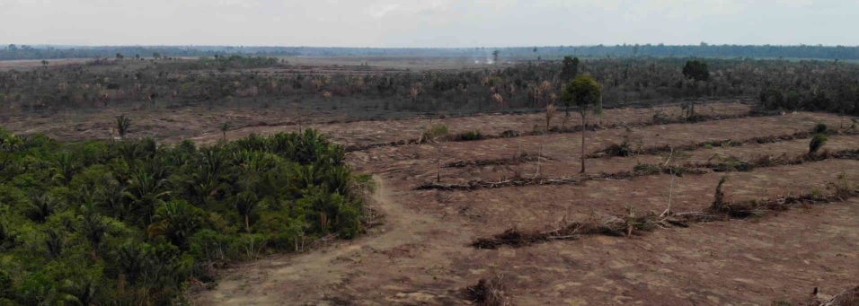 Regenwaldzerstörung Sojaanbau in Brasilien (c) Nikolaus Tarouquella